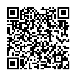 使得东临嫣雪成为了当今光明圣殿内唯一的准圣子二维码生成