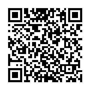 使得偌大的宗门摇摇欲坠……这正是英雄崛起的最好时机二维码生成