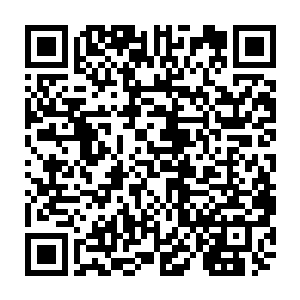 使得十二大家族之间似乎都隐藏风云呢……不过这也是一些师姐们暗里说的二维码生成