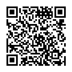 使得天道看上一眼就不由地想到了呼之欲出这个词语二维码生成