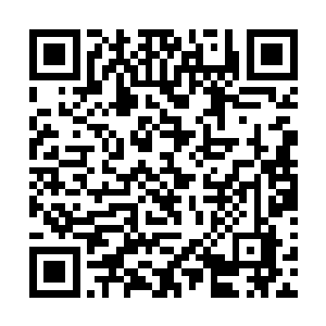 使得她长久无法提升的武道修为接连突破了三层br二维码生成