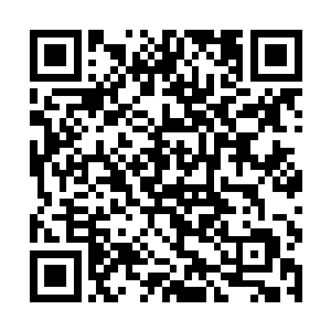 使得所有人都感觉到了一股强大的毁天灭地般的气息二维码生成