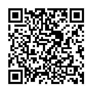 使得李道义同学唯一比较擅长的一门课程导致了极其惨烈的悲剧二维码生成