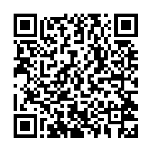 使得站在一边的流苏都不由被天道的这个笑意所着迷二维码生成
