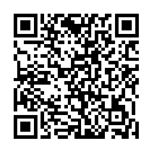 使得聚元大阵所在之处的天地元气比其他地方更加的浓郁二维码生成