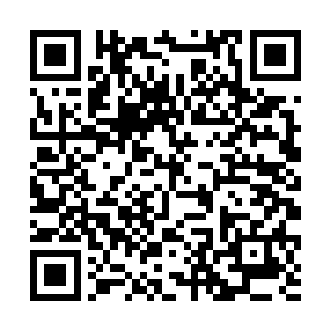 使得自己根本就无法发挥出玄黄天地印的真正的力量二维码生成