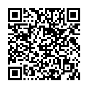 使得豆兵们几乎是最大程度的承受了这白莲妖法的力量二维码生成