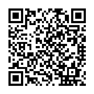 使得这口钟的内部空间已经锁住了一小股因果互噬之力二维码生成