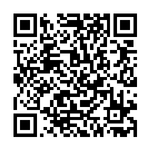 使得这套拳法口诀成了时下武林最烫手诱人的香饽饽二维码生成