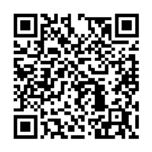 使得金牛圣骑的力气再打也是挣脱不了苏凡的控制二维码生成
