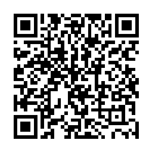 使狮子狗开启大招后的第一次跳人攻击会在着陆后才发动二维码生成