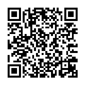 使用深渊之力的公主和代表传统骑士阶级的亲王内战二维码生成