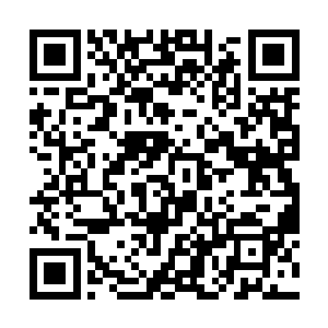 使用神玄九变跨一个大境界挑战杨戬还是能够做到的二维码生成