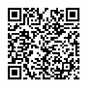 使用这招时往往会使大地喷发出一股股漫天的黑土二维码生成