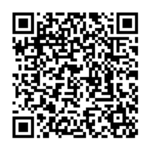 使者可是混沌天境界高手怎么可能被一个半步混沌天境界的蝼蚁压制二维码生成