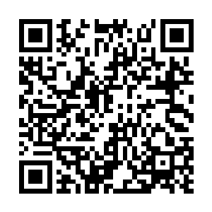 例如九阳精火若是吞噬了三重异象宗师实力的火灵二维码生成