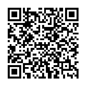 例是一眼看到了一头会哼哼的货跑进了自己的屋里二维码生成