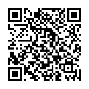 侍从拉车进去的时候正好听到最里面的流墨墨惊讶出声问道二维码生成