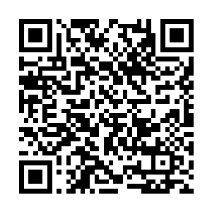 侍卫想到这几年都是荀太医用药吊着昭萱郡主的命二维码生成