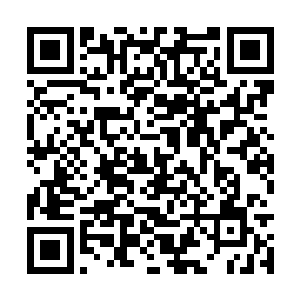 供应的数量越多也越容易使价格出现大幅度的滑坡二维码生成