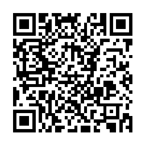 供给眼瞅着也成了问题……潘德拉的难民们陷入了绝境二维码生成