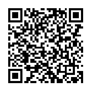 依仗的就他的血海大神通可以孕育无数变化与存在二维码生成