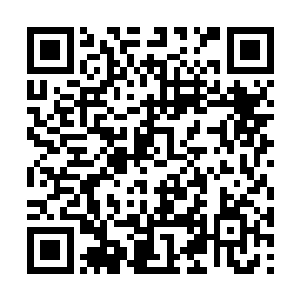 依我看他这一辈子都不可能上升到咱们鼻队的高度二维码生成