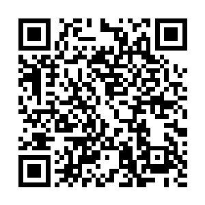 依我看你这次将东方少奇派到其他古武世家之中试探一番二维码生成