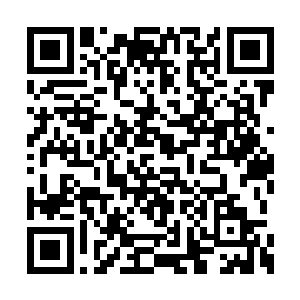依文莉大人也提到您失去了过往在拜尔的记忆了二维码生成