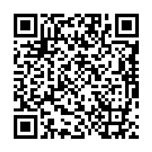 依旧保留了人类一面的路易斯不愿为了吸血满足自己的欲二维码生成