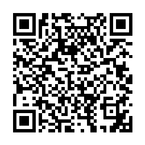 依旧充斥着杀戮之气的和那白色的莲花纠缠在一起二维码生成