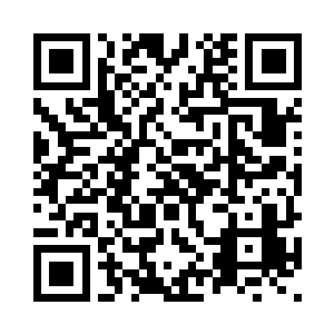 依旧很镇定的坐在巨大的地图跟前二维码生成