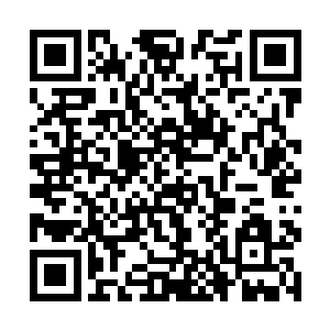 依旧有无数财团挥舞着他们的支票恳求着雨果的青睐二维码生成