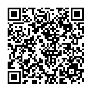 依旧没法像部落其他的女人一样扛着几十斤的青牛兽的腿健步如飞二维码生成