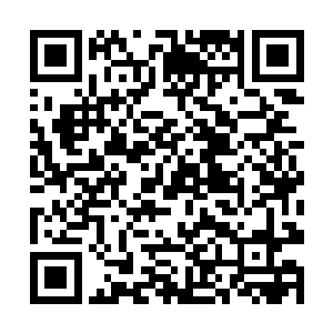 依旧给我尽情扫到没有进入到混乱森林中的妖魔两族二维码生成