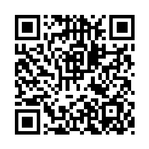 依旧聚精会神地关注梦婉约一动一静二维码生成