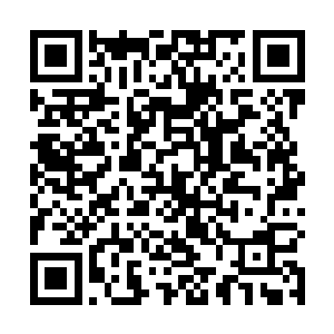 依旧还是没有能阻止这些丧尸继续向着自己扑来的行为二维码生成