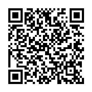 依然是天子在天下这张大棋盘上一角的悄然落子二维码生成