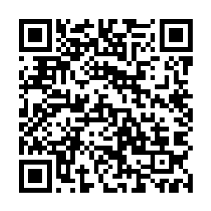 依然是感觉这每一颗芭蕉树似乎都会趁我不注意迷惑我二维码生成