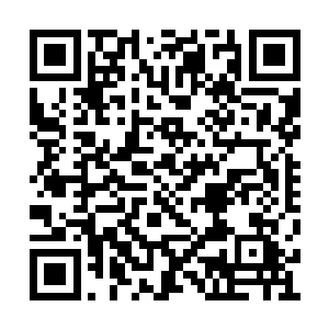 依然有条不紊的向着他们各自定下的目标前进着二维码生成