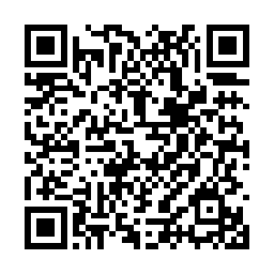 依然穿着土得掉渣的运动服的凯莉站在了柔术馆里二维码生成