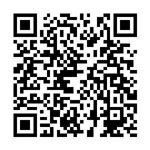 依然被楚枫的远古战剑以及远古战斧所抵挡了下来二维码生成