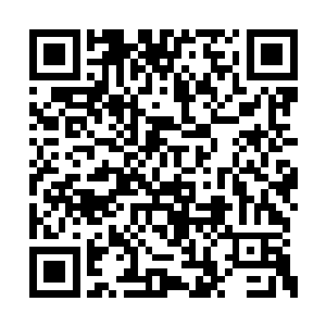 依稀记得前世动画片都会赋予小松鼠艳丽的毛发二维码生成