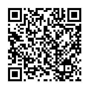 依靠自身修为以及自己潜藏的血脉之力强行将封印破开二维码生成