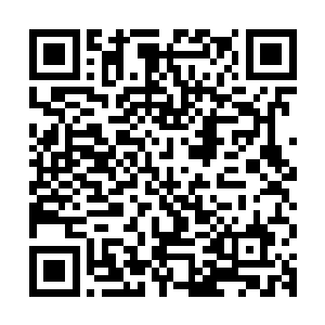 侦查一三三队的小学妹宋小爱喜欢上了侦查一一伍队班长赵世宁二维码生成