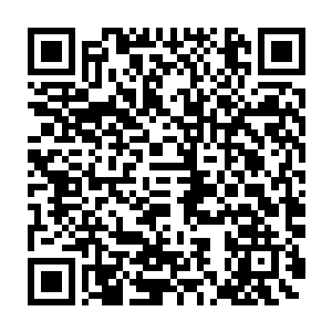 侧脸看了看身边的皇帝和他旁边一身雪衣清冷如梨花的柳贵妃秀眉微皱二维码生成