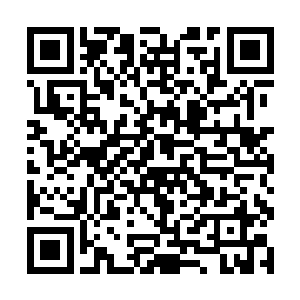 侧过头瞥了一眼不远处正在得意扬扬的高俊杰等四人二维码生成