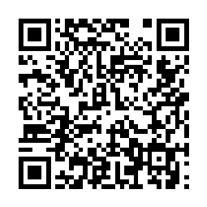 侧首将目光避开一对正在一株松树背后热吻的恋人二维码生成