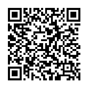 侯卫东又选了黄军和林中川两位读过初中的年轻人二维码生成