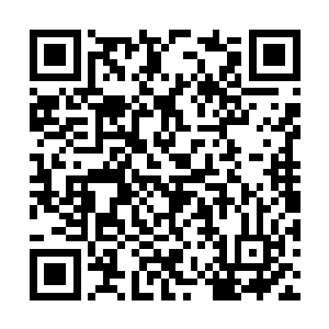 侯卫东就坐在角落里偷窥着这位漂亮到刺眼的女子二维码生成